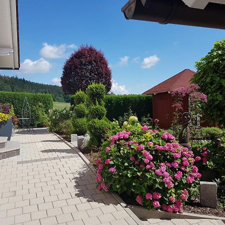 Ferienwohnung Toni Mit Balkon Und Garten Pemfling Dış mekan fotoğraf
